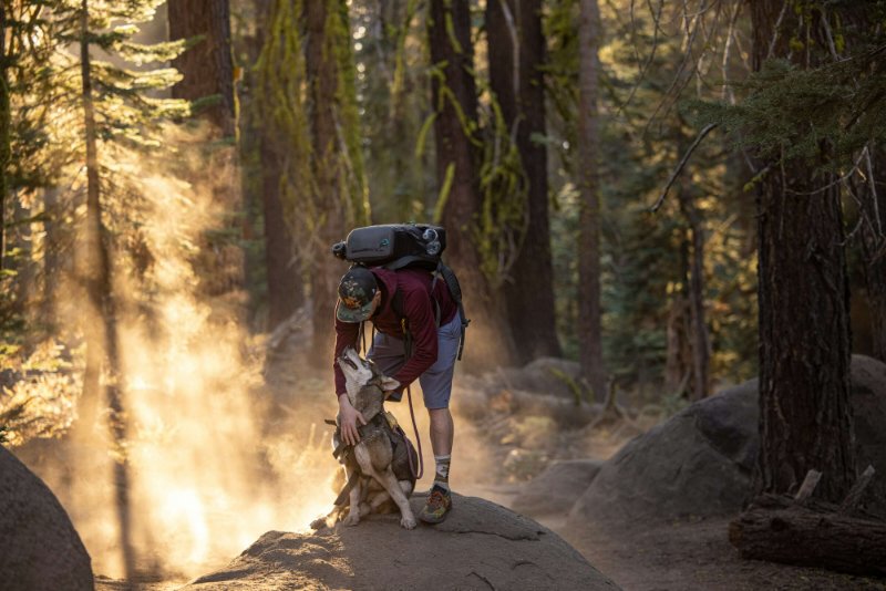 Dog Backpacking